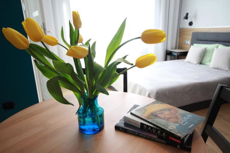 Studio Four Seasons with parking place, Gdansk, Poland