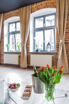 Zillmann Apartment, Katowice, Polonia