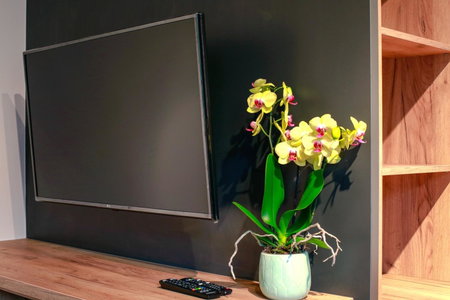 Apartament z ogrodem w centrum Limanowej, Limanowa, Polen