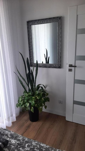 Apartament z widokiem Łańcut, Lancut, Poland
