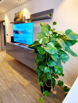Galaxy Apartments, Słupsk, Poland