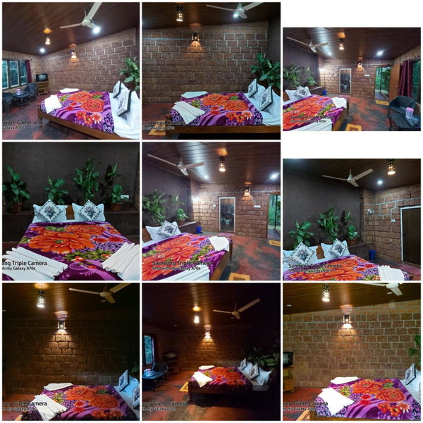 The Dream, Sanivārsante, India