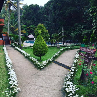 Abad Green Forest Thekkady, Thekkady, India