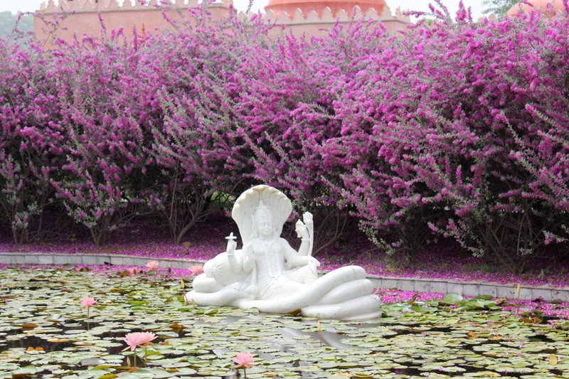 Tree of Life Resort & Spa, Jaipur, Jaipur, India
