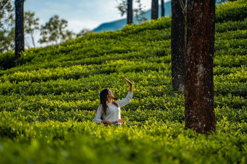 Zostel Plus Wayanad, Kalpetta, Индия