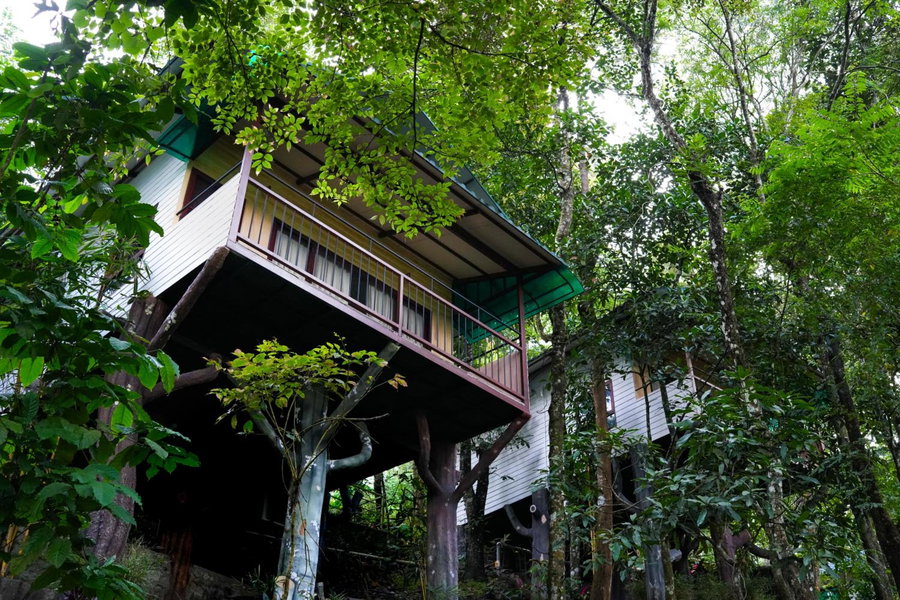 Space Rock Resort, Kalpetta, Индия