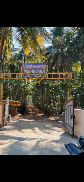 Yashovana Nature Stay Gokarna, Gokarna, India