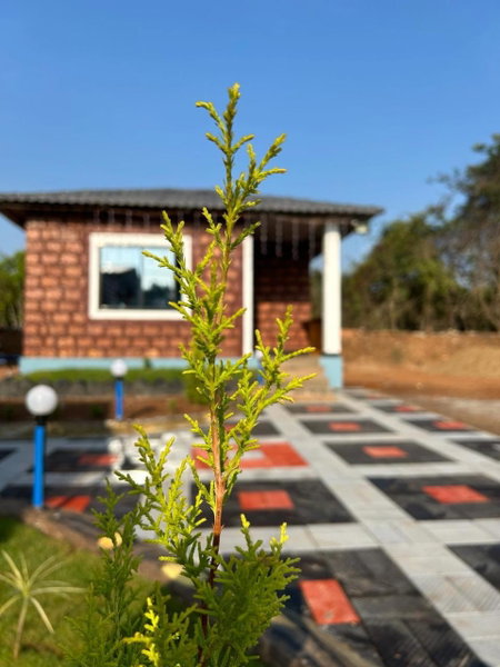 Yashovana Nature Stay Gokarna, Gokarna, India
