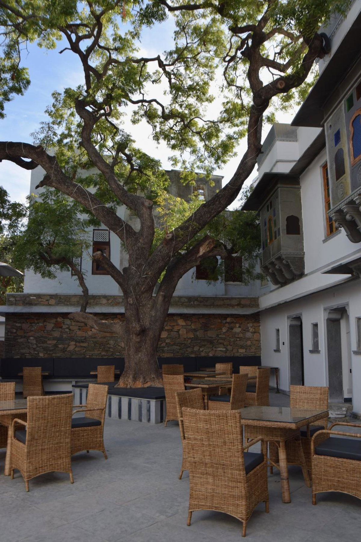 The Neem Tree, Indien