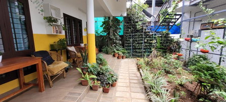 Periyar Inn, Thekkady, India