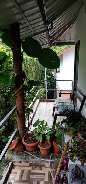 Periyar Inn, Thekkady, India