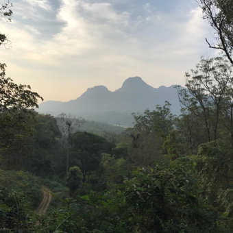 Pepper Trail, Sultan Bathery, India