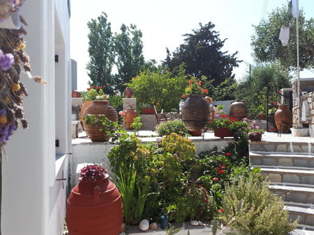 Margarita Studios, Parikia, Greece