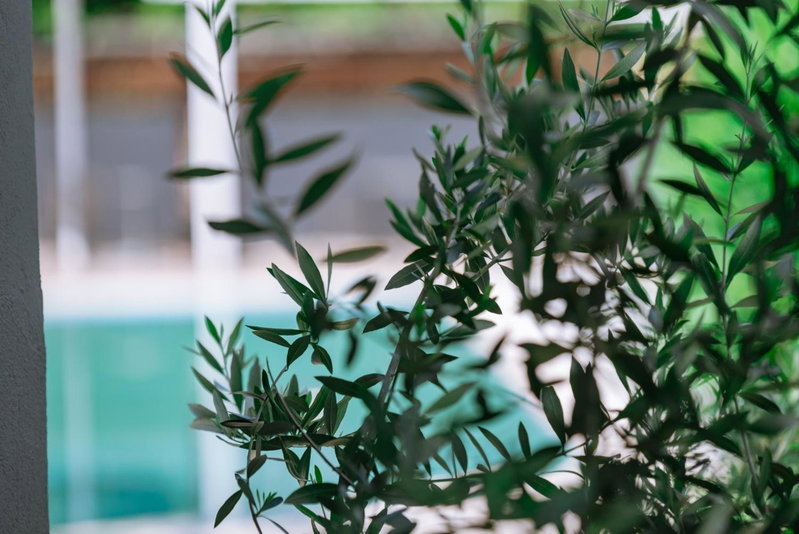 Inspira Boutique Hotel Thassos - Adults Only, Kavala, Greece