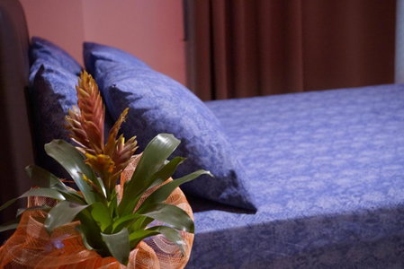 Orpheus Hotel, Athens, Greece