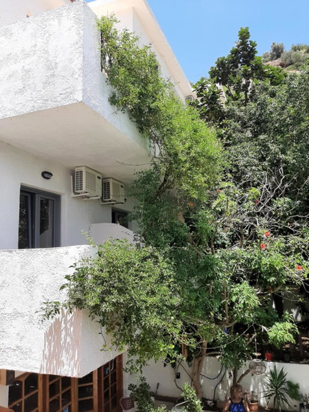 Ostria, Agia Galini, Grèce