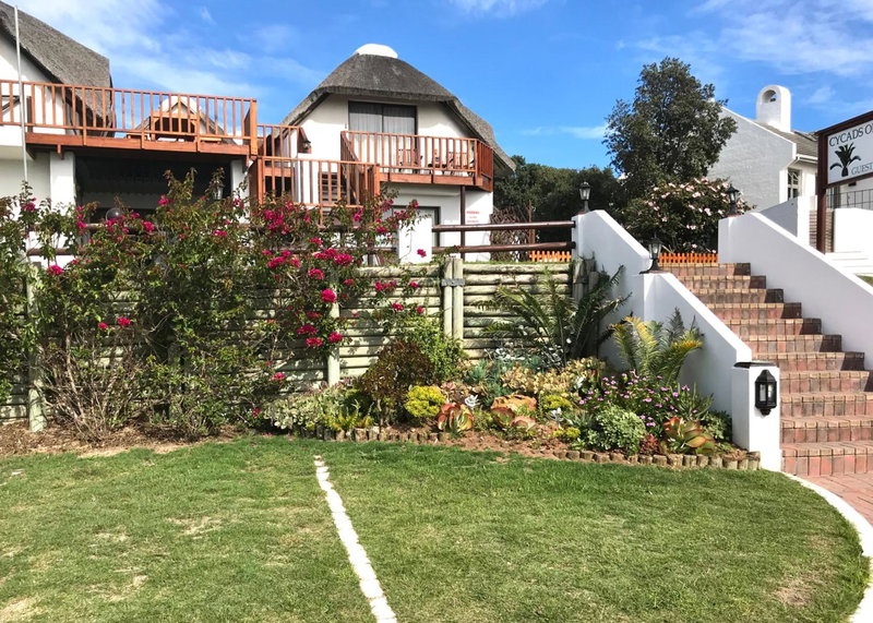 Cycads on Sea Guest House, St Francis Bay, South Africa