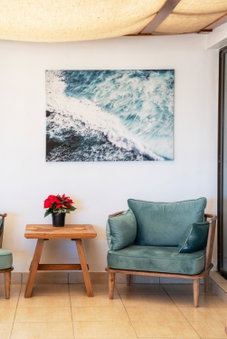 Cycads on Sea Guest House, St Francis Bay, South Africa