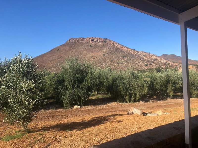 Riverbend Farm, Robertson, Южная Африка