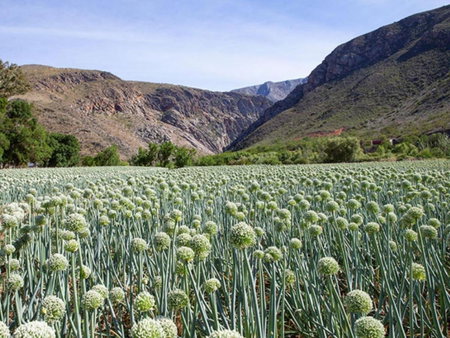 Varkenskraal Farm, De Rust, Sudáfrica