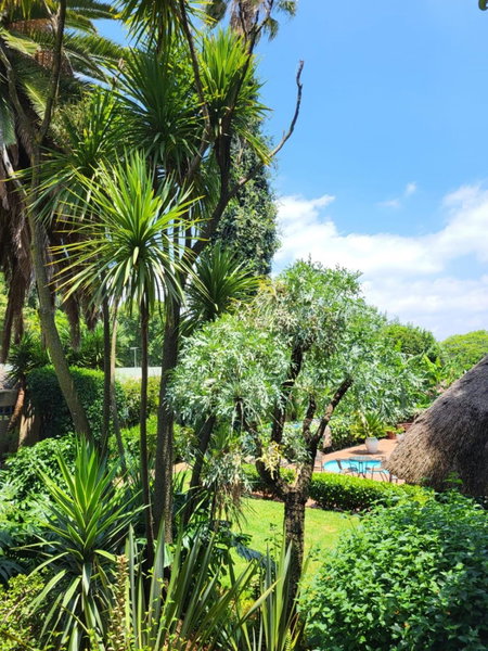 Margaret's Place, Johannesburg, Sudáfrica