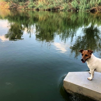 At the River Guest House, Kroonstad, South Africa