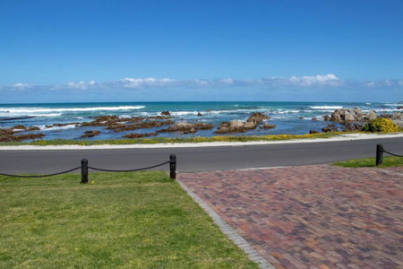 Kormorant, Gansbaai, Südafrika