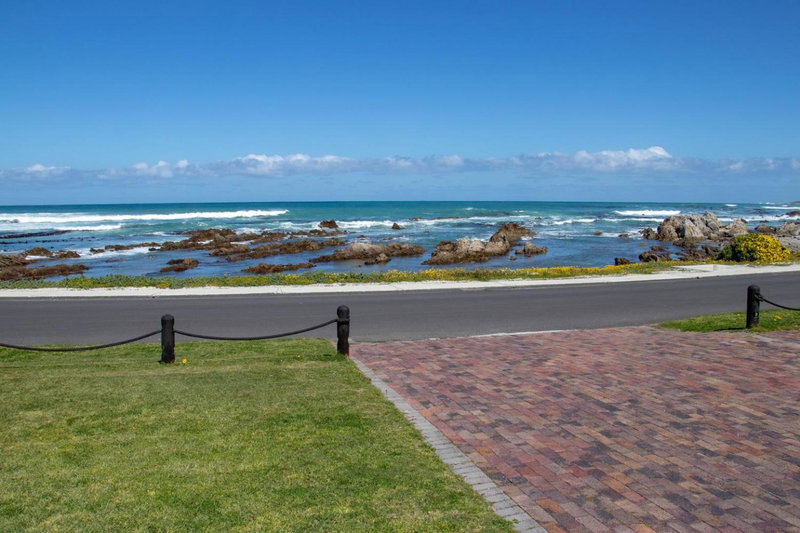 Kormorant, Gansbaai, Südafrika