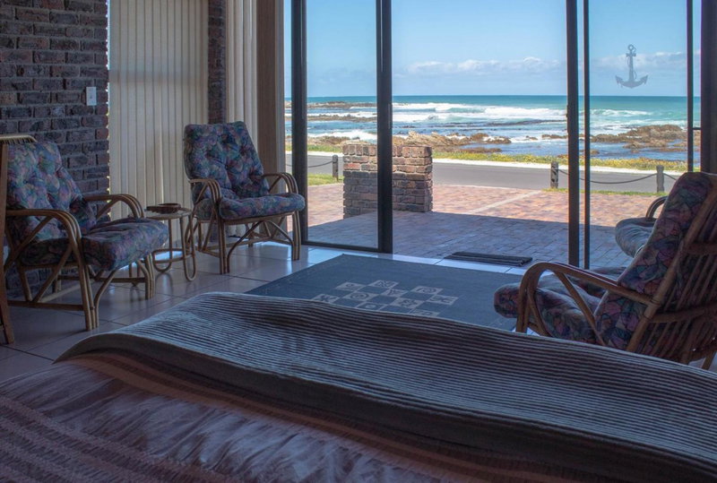 Kormorant, Gansbaai, Südafrika