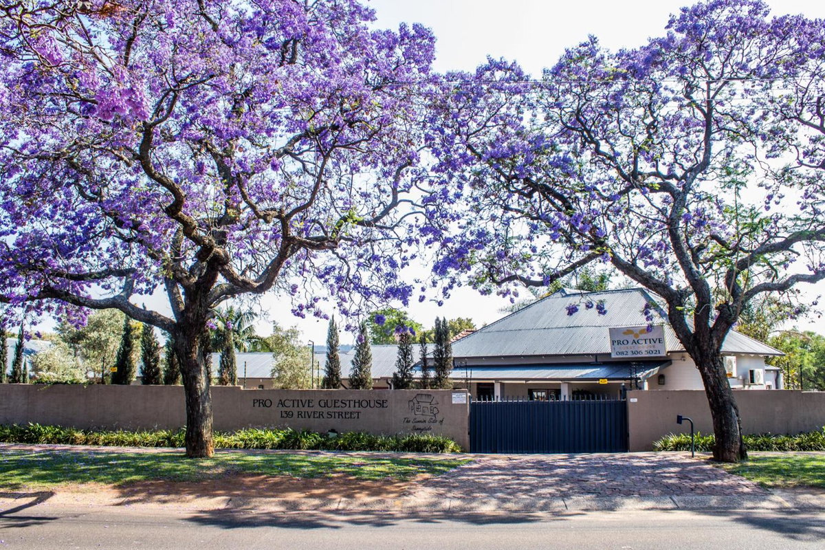 Hotel · Pro Active Guest House, Pretoria