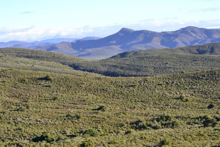 Mont Eco Game Reserve, Montagu, South Africa