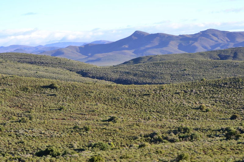 Mont Eco Game Reserve, Montagu, South Africa