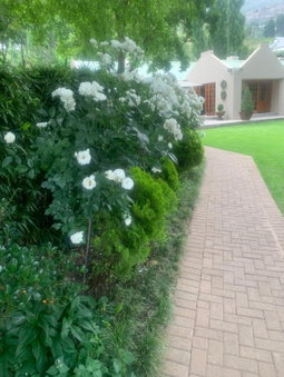 Zwartmodder Clarens, Clarens, South Africa