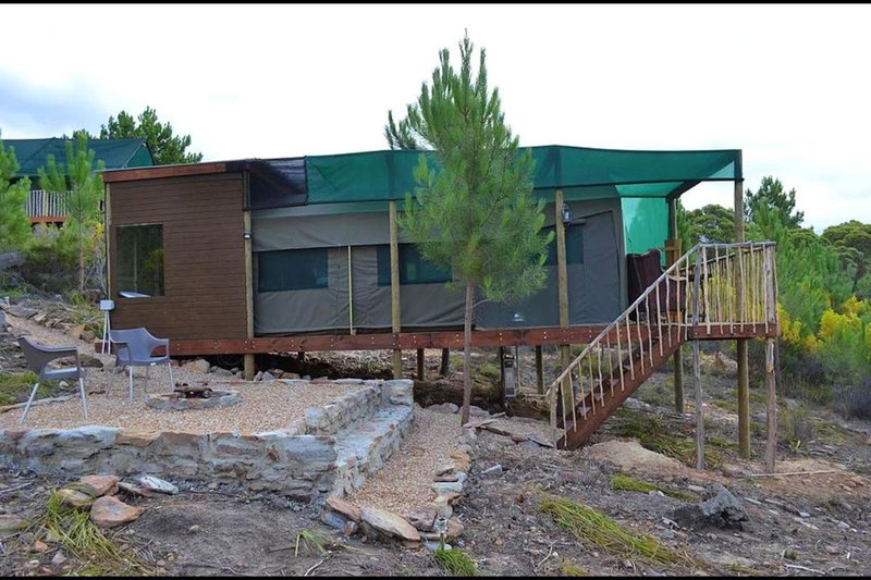Otium Oasis Glamping & Camping, Hartebeesrivier, South Africa