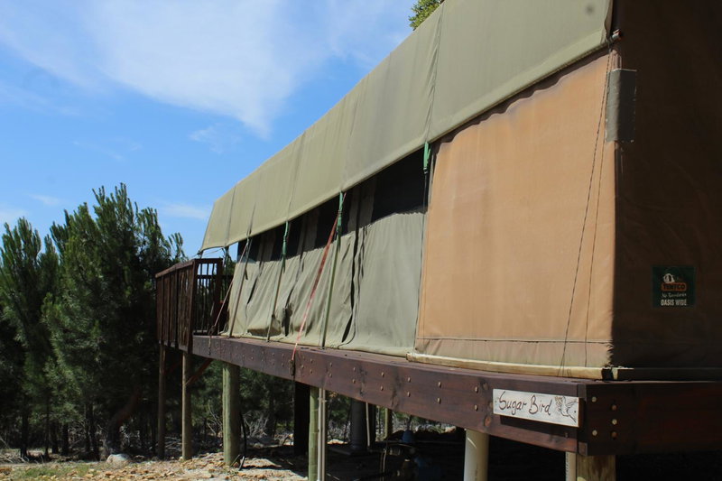 Otium Oasis Glamping & Camping, Hartebeesrivier, South Africa