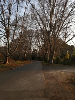 Cooper Cottage, Howick, Afrique du Sud