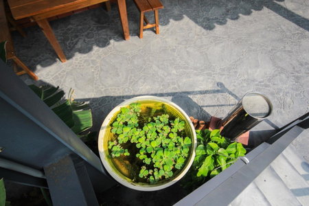 The Tiles Garden Yilan B&B, Dongshan, 台湾