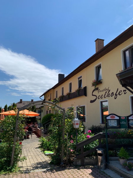 Gasthof Seelhofer, Prigglitz, Австрия