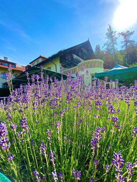 Hotel Restaurant Grünwalderhof, Innsbruck, Австрия