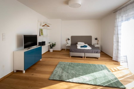 Flataid Apartmenthaus Brauhausstrasse, Graz, Austria