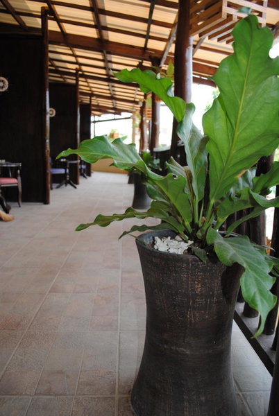 Captain's Lodge and Bar, Panglao, Philippinen