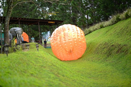 Dahilayan Forest Park Resort, Libona, Philippines