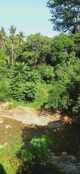 Riverside at Aninuan Accommodation and Food, Puerto Galera, Philippines