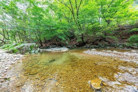 Vivaldi white house in vally, Yangpyeong, 대한민국