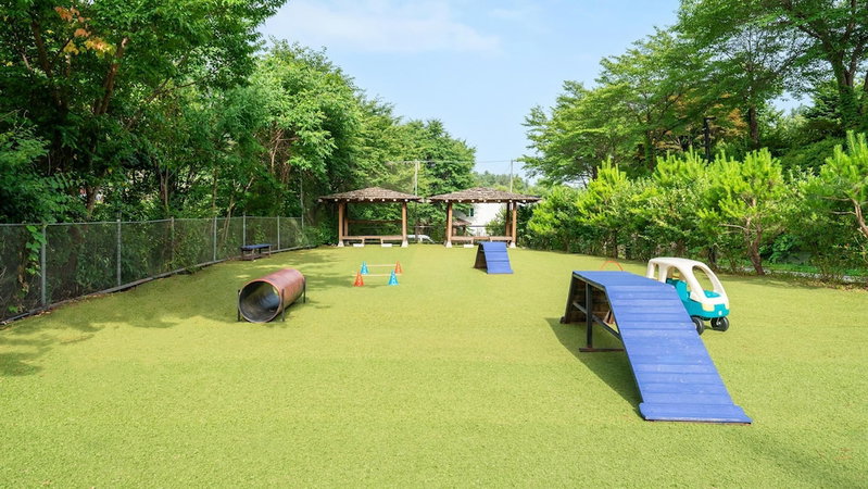 Gapyeong Highmong Pet-friendly Kids Pool, Gapyeong, 대한민국