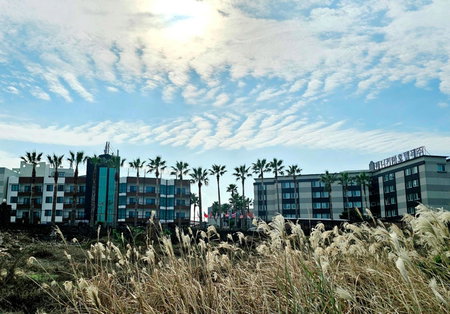 Benikea Hotel Jeju, Jeju, 대한민국
