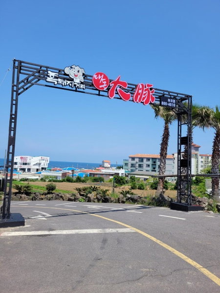 The Stay Century Hotel, Jeju, 대한민국