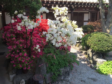 Taejomaru, Jeonju, 대한민국