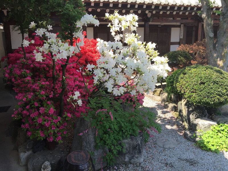Taejomaru, Jeonju, 대한민국