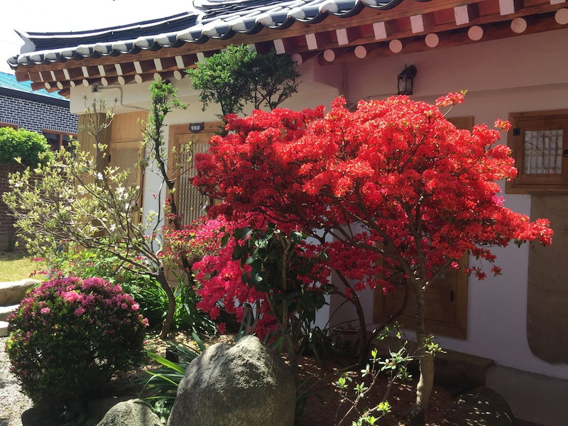 Taejomaru, Jeonju, 대한민국